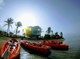 gallery-06 21b4f471-d4d4-4092-b6b6-264f013463c1