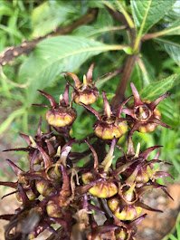 gallery-04 4f78b6a7-f7d9-41ed-9d11-9b0501e11e50